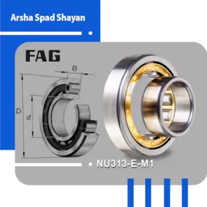 NU313-E-XL-M1-C3 FAG
